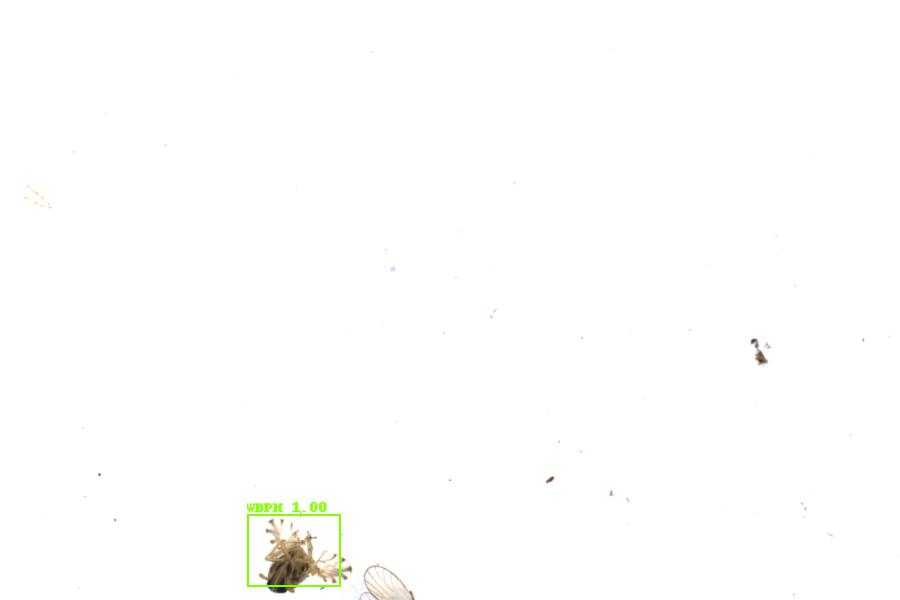 Image 20